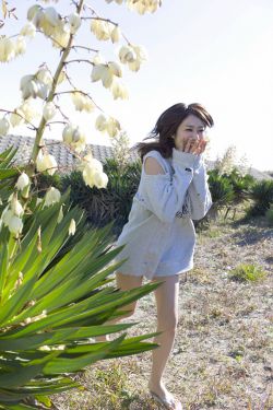 胜女的代价2电视剧