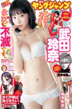 林深见鹿电视剧免费观看