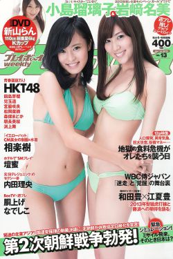电视剧 亮剑