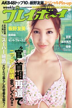 迎风的青春 电视剧