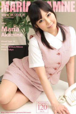 芝麻胡同 电视剧