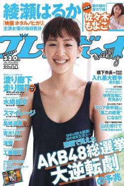 黑社会2以和为贵