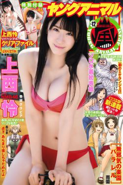 大唐荣耀 电视剧