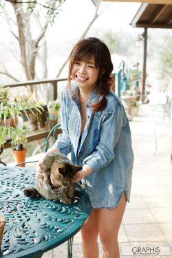 春花焰电视剧免费观看